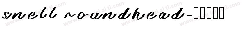 snell roundhead字体转换